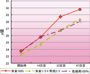 新高滝観魚園 / 【キョーリン】咲ひかり 朱雀 特級色揚 浮上性 M 新高滝観魚園 / 【キョーリン】咲ひかり 朱雀 特級色揚 浮上性 M