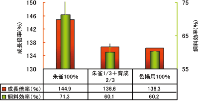 新高滝観魚園 / 【キョーリン】咲ひかり 朱雀 特級色揚 浮上性 M 新高滝観魚園 / 【キョーリン】咲ひかり 朱雀 特級色揚 浮上性 M