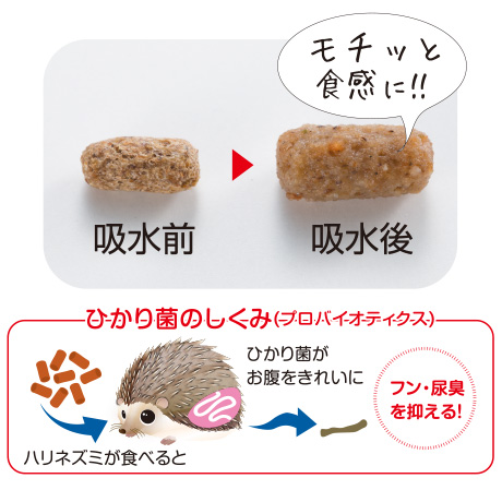 ひかりハリネズ 1.1kg