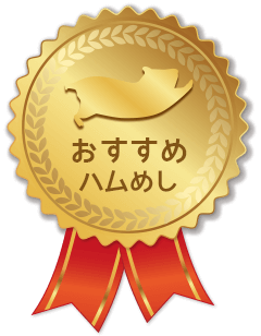 おすすめまハムめし