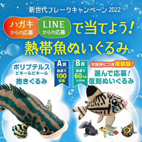 新世代フレークキャンペーン2022 レシートで「熱帯魚ぬいぐるみ」を当てよう!!