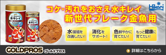 金魚用飼料ゴールドプロス