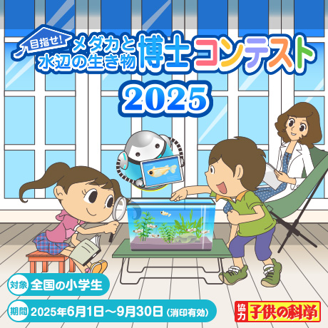 夏休み自由研究「Hikari メダカと水辺の生き物博士コンテスト2025」
