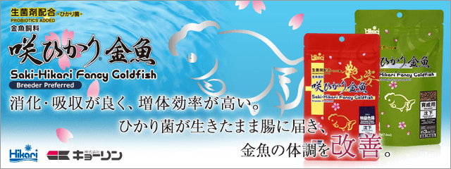 咲ひかり金魚シリーズ
