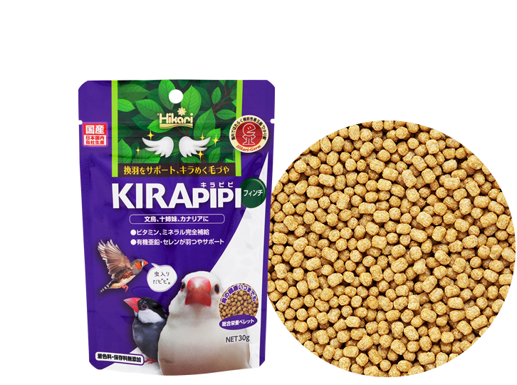 キラピピ フィンチ