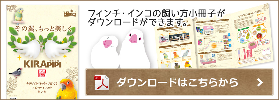 フィンチ・インコの飼い方(PDFをダウンロード)