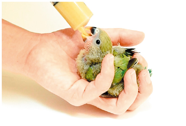 ペースト状になるまでかき混ぜる