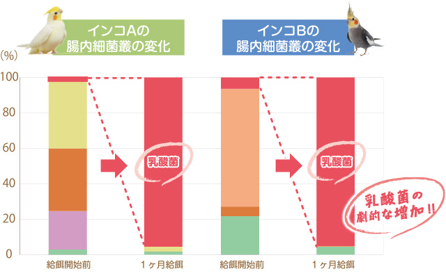 インコAとインコBの腸内細菌叢の変化