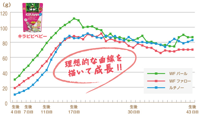 理想的な曲線を描いて成長！！