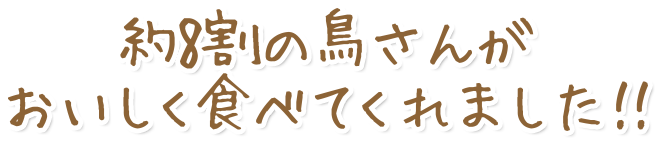 約8割の鳥さんがおいしく食べてくれました!!