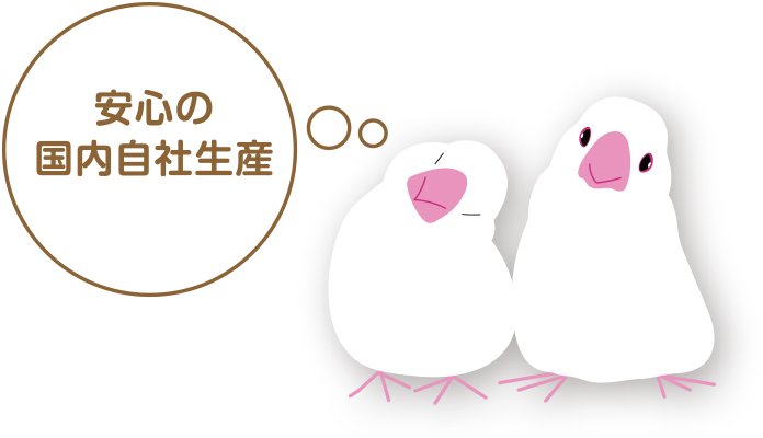 鳥用飼料（餌・エサ）＜セキセイインコ,オカメインコ,インコ,文鳥 