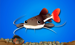 レッドテール・キャット