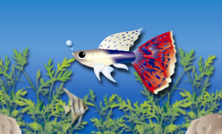 モザイクタキシード・グッピー