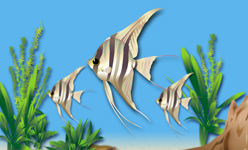 アルタム・エンゼル