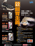 ひかりクレストキャット