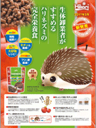 販促用チラシ：ひかりハリネズ