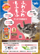 販促用チラシ：ひかりチチララ