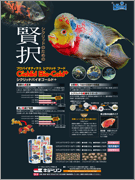 販促用チラシ：ひかりシクリッドバイオゴールド+