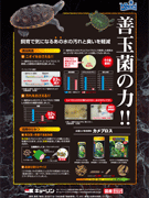 販促用チラシ：カメプロス