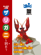 ザリガニの飼い方