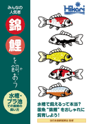 錦鯉を飼おう
