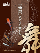 メダカの舞リーフレット