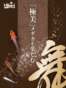 メダカの舞リーフレット