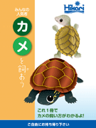 カメを飼おう