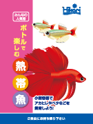 ボトルで楽しむ熱帯魚