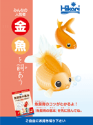 金魚を飼おう