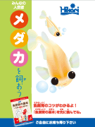 メダカを飼おう