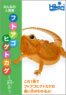 フトアゴヒゲトカゲを飼おう