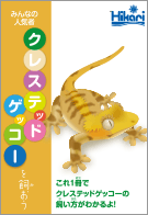 クレステッドゲッコーを飼おう
