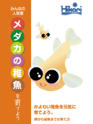 メダカの稚魚を飼おう