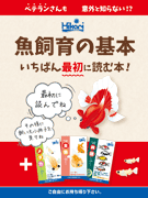 魚飼育の基本