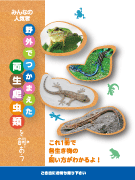 野外の両生爬虫類を飼おう