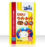 ひかりウーパールーパー大粒