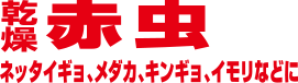 教材乾燥赤虫