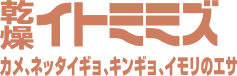 教材乾燥イトミミズ
