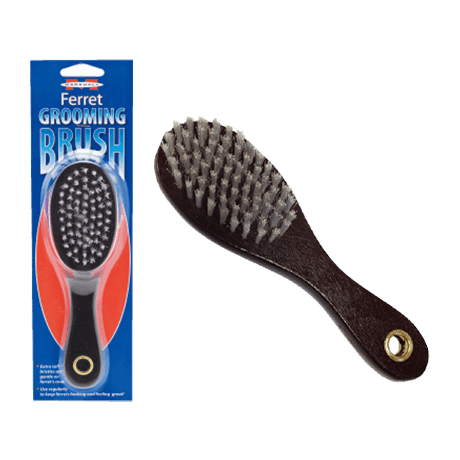 フェレット用ブラシ