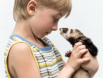 飼い主を覚え、人の想いも理解します