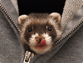 名前を呼ばれると自分の事だとわかります