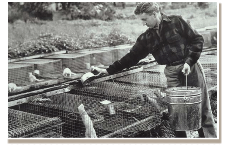 ギルマン・マーシャル