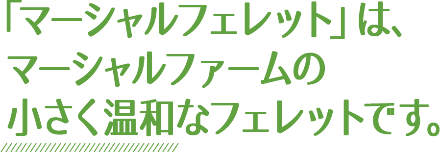 美容用品＜マーシャルフェレット＞｜フェレットのエサ｜キョーリン【Hikari】