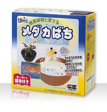 メダカばち 絵本付き