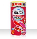 メダカプロス色揚