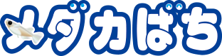 メダカばち