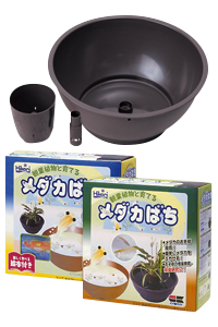 めだか鉢イメージ