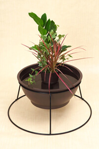 めだか鉢レイアウトイメージ2