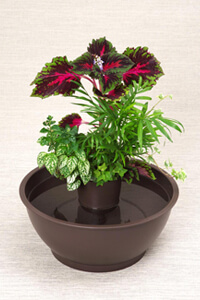 めだか鉢レイアウトイメージ6